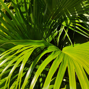 男人互摸jiji㊙️网站军人
